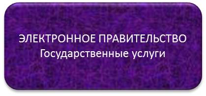 Электронное правительство Государственные услуги