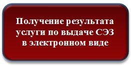 Получение файла электронного вида санитарно-эпидемиологического заключения